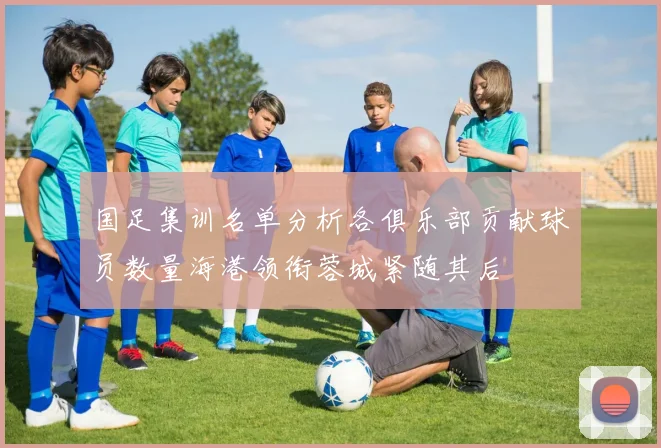国足集训名单分析各俱乐部贡献球员数量海港领衔蓉城紧随其后